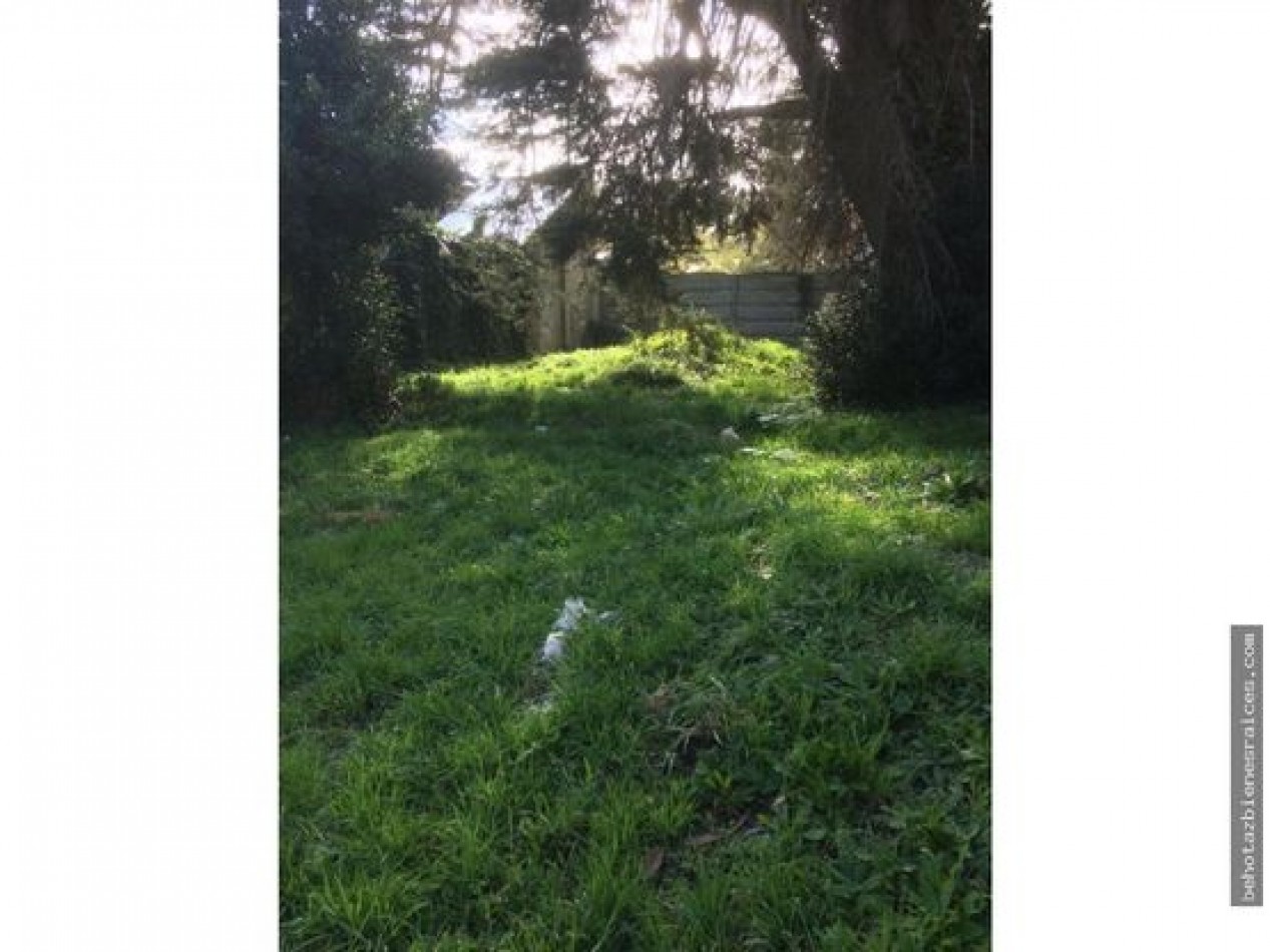 LOTE EN BARRIO LOS TILOS. MAR DEL PLATA.