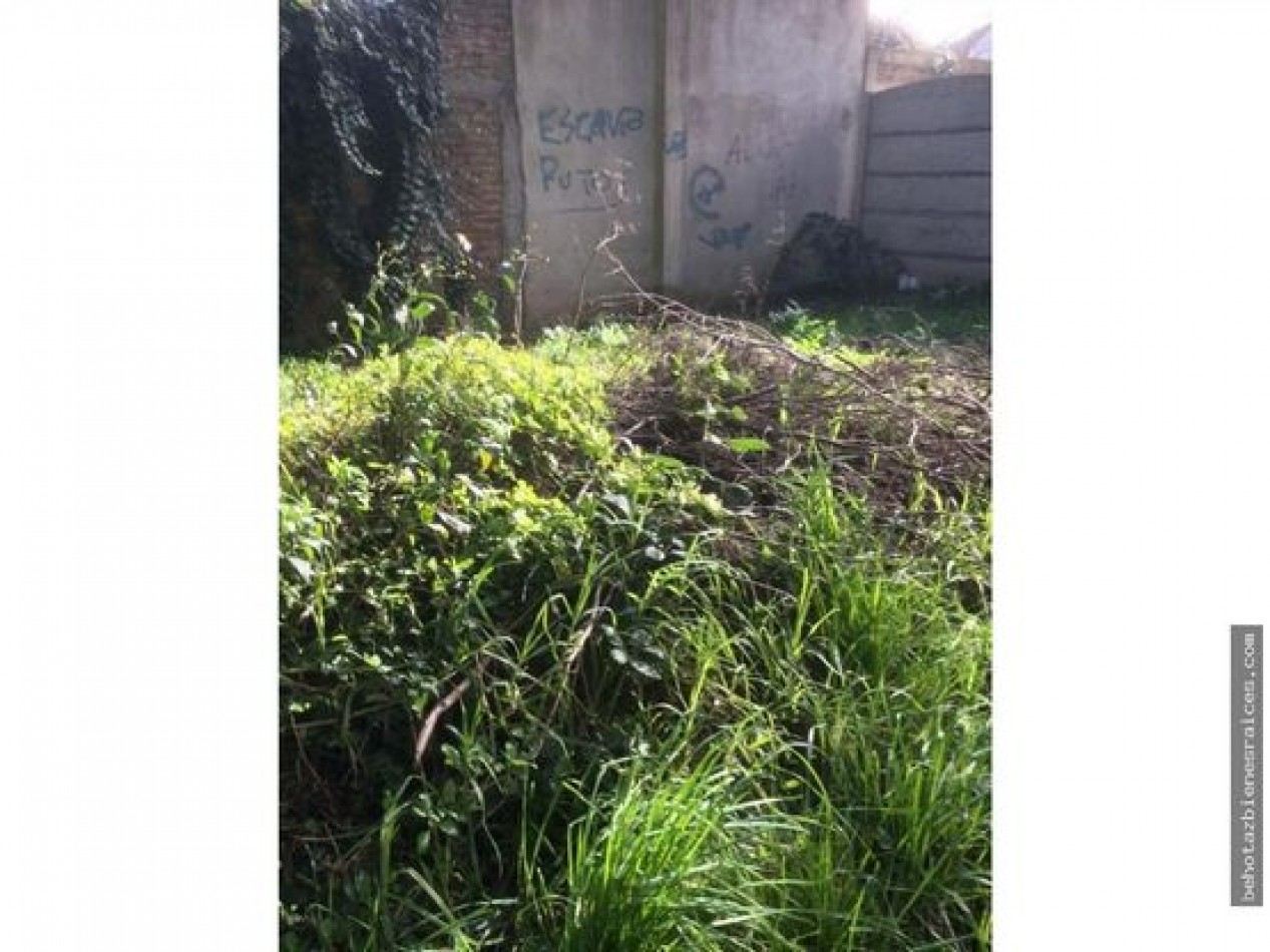 LOTE EN BARRIO LOS TILOS. MAR DEL PLATA.