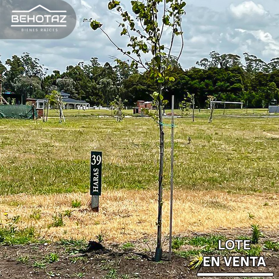 ()LOTE EN VENTA EN CASONAS DEL HARAS, ACANTILADOS, MAR DEL PLATA