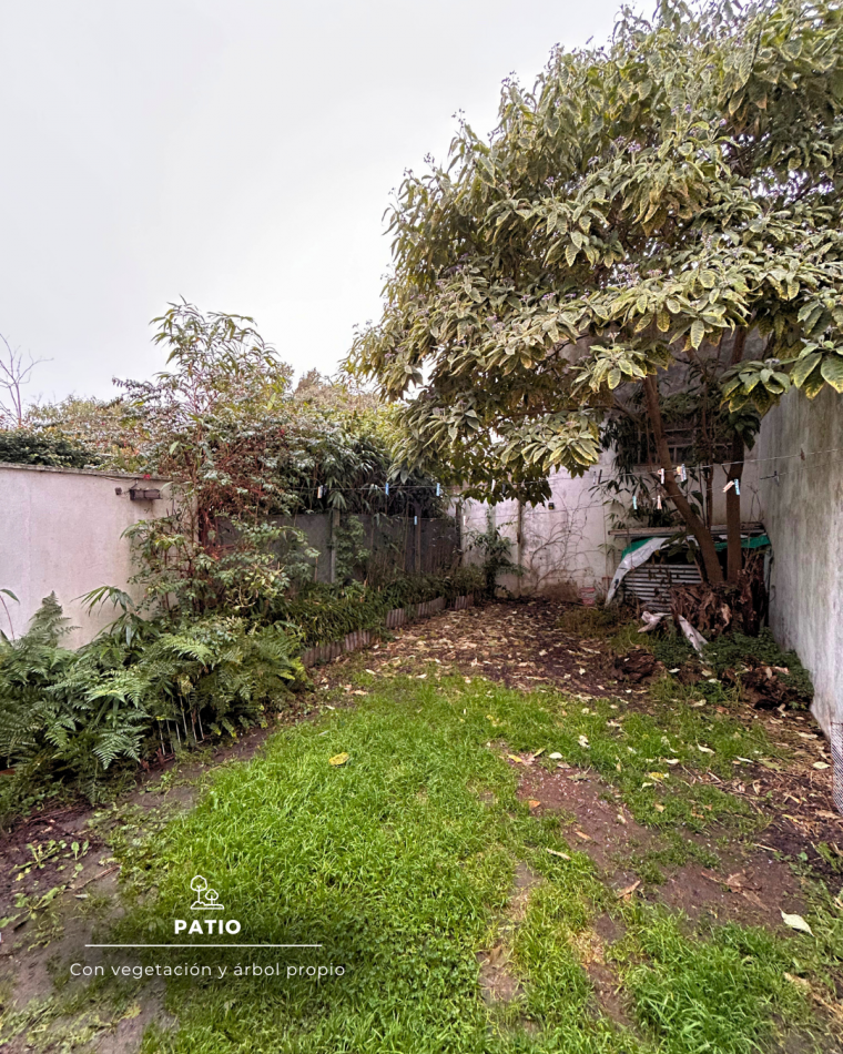 PH AL FRENTE 3 AMB CON QUINCHO, EN CONSTITUCION 