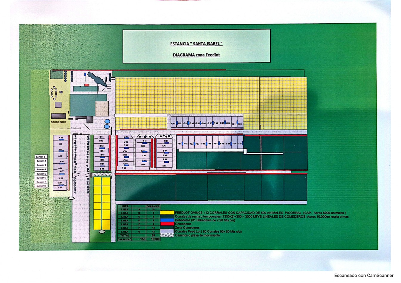 CAMPO EN VENTA 1520 HAS CON FEEDLOT OPERATIVO - CORONEL DORREGO. 