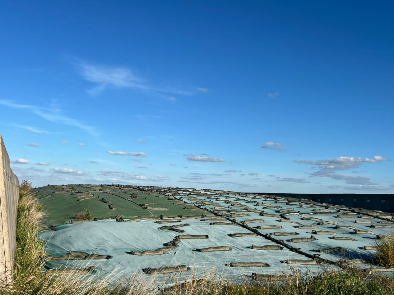 CAMPO EN VENTA 1520 HAS CON FEEDLOT OPERATIVO - CORONEL DORREGO. 