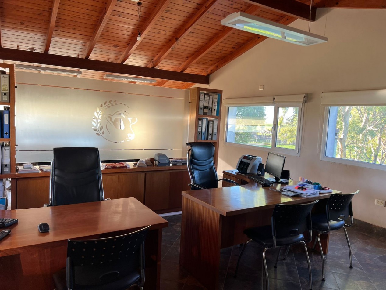 CAMPO EN VENTA 1520 HAS CON FEEDLOT OPERATIVO - CORONEL DORREGO. 