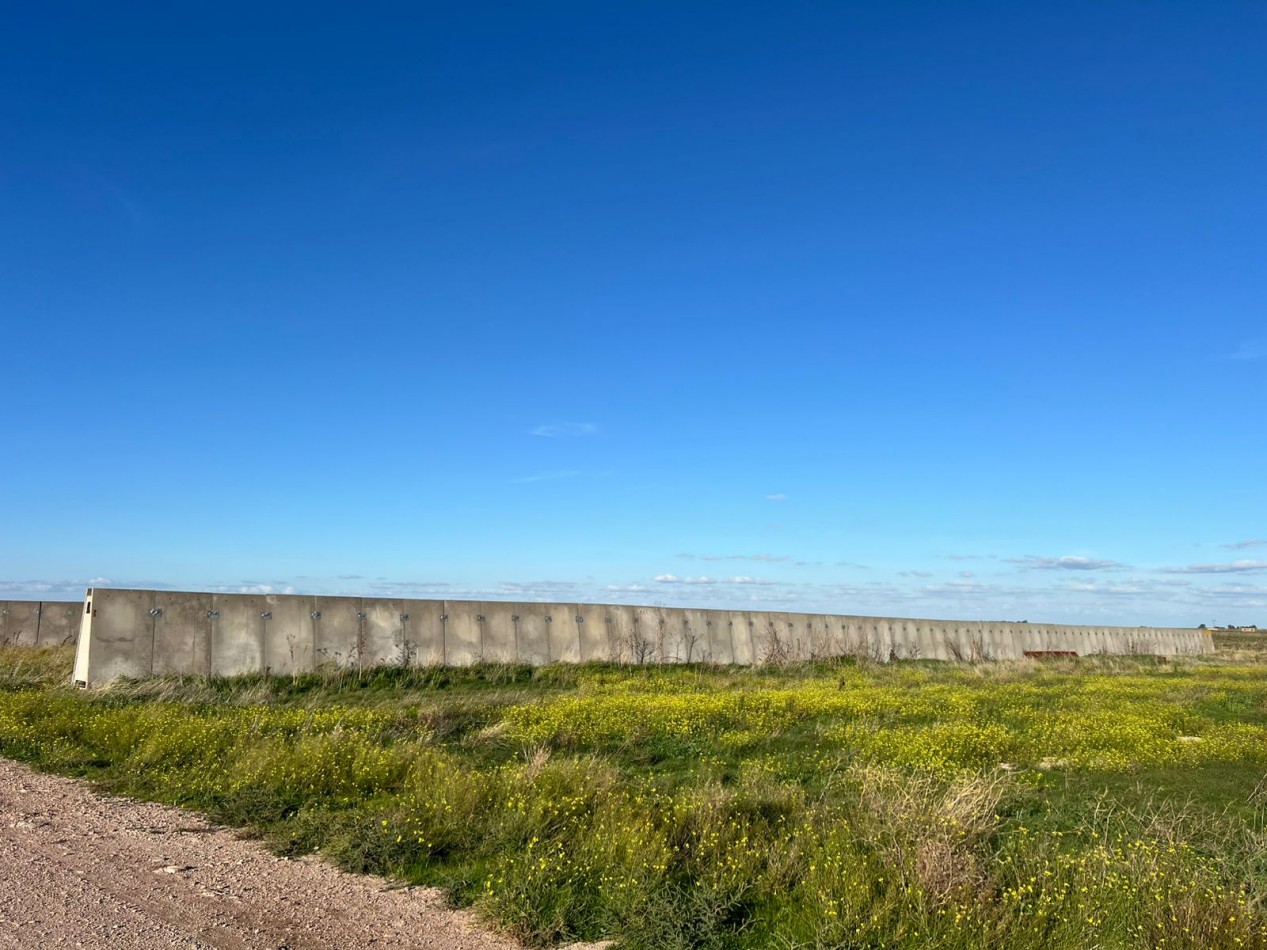 CAMPO EN VENTA 1520 HAS CON FEEDLOT OPERATIVO - CORONEL DORREGO. 