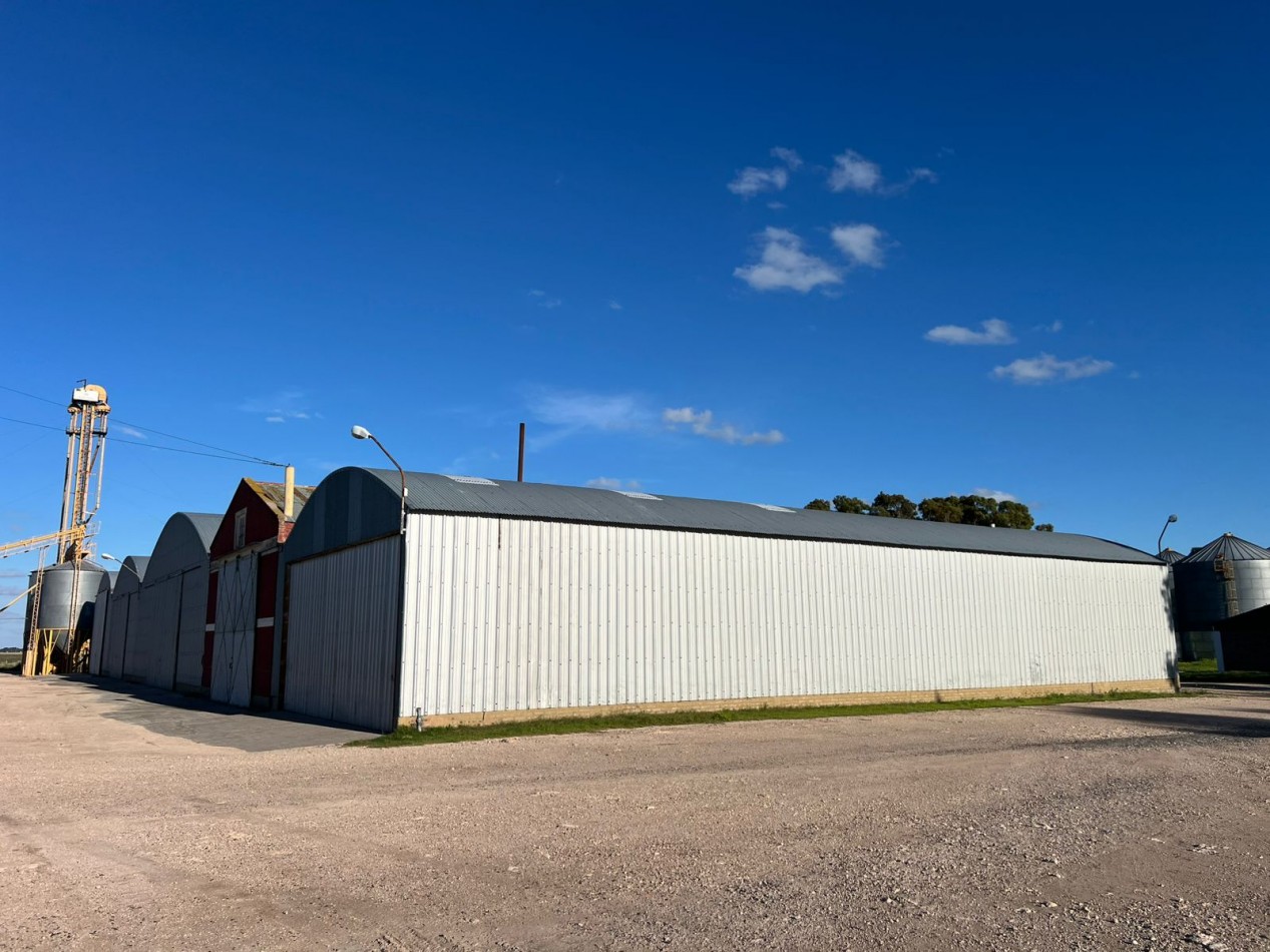 CAMPO EN VENTA 1520 HAS CON FEEDLOT OPERATIVO - CORONEL DORREGO. 