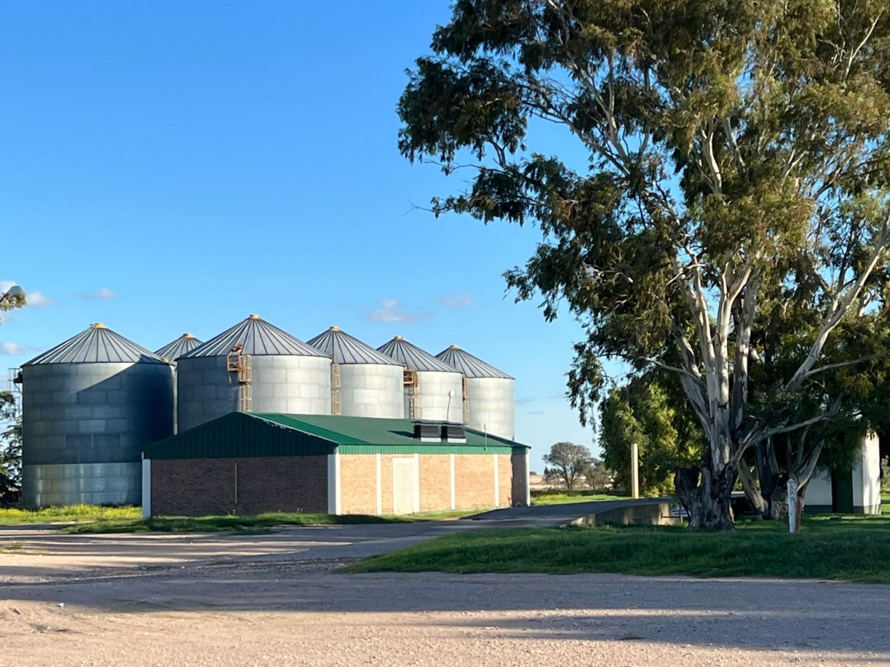 CAMPO EN VENTA 1520 HAS CON FEEDLOT OPERATIVO - CORONEL DORREGO. 