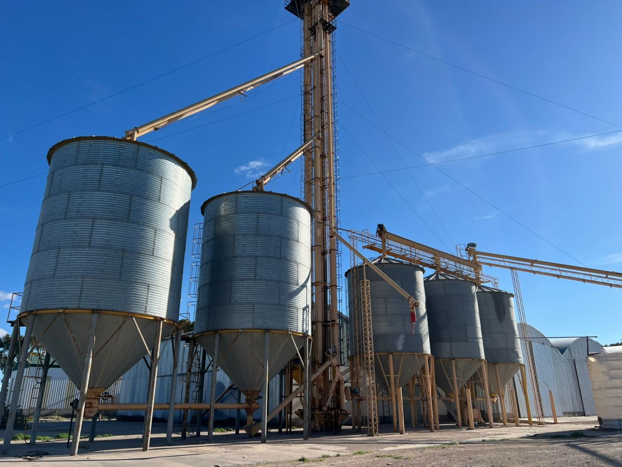 CAMPO EN VENTA 1520 HAS CON FEEDLOT OPERATIVO - CORONEL DORREGO. 