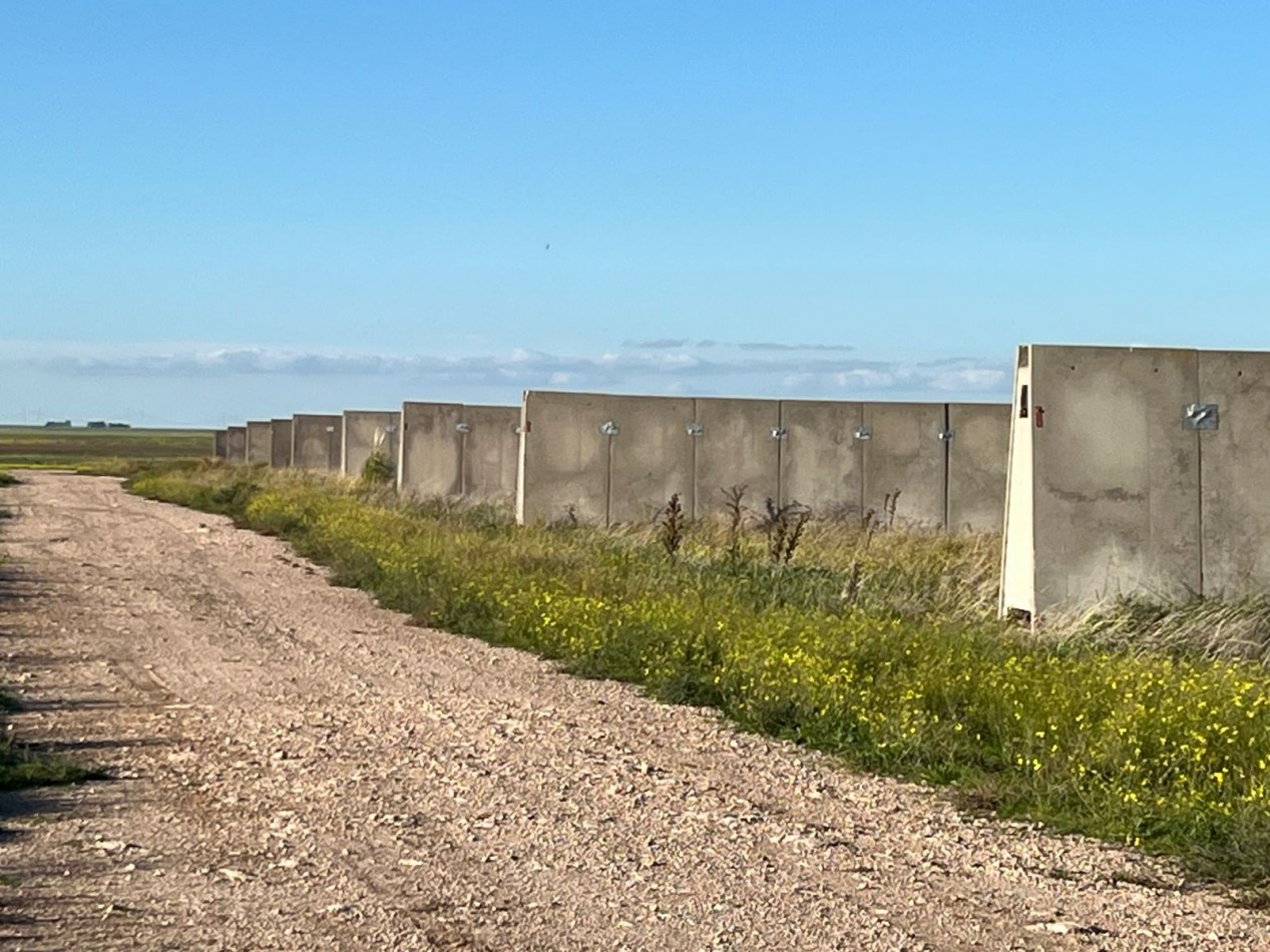 CAMPO EN VENTA 1520 HAS CON FEEDLOT OPERATIVO - CORONEL DORREGO. 