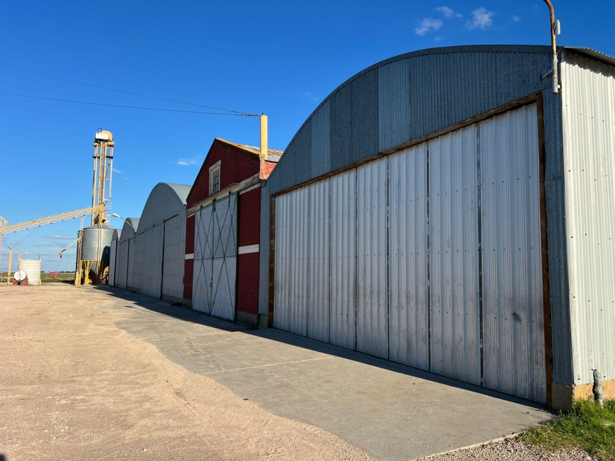 CAMPO EN VENTA 1520 HAS CON FEEDLOT OPERATIVO - CORONEL DORREGO. 