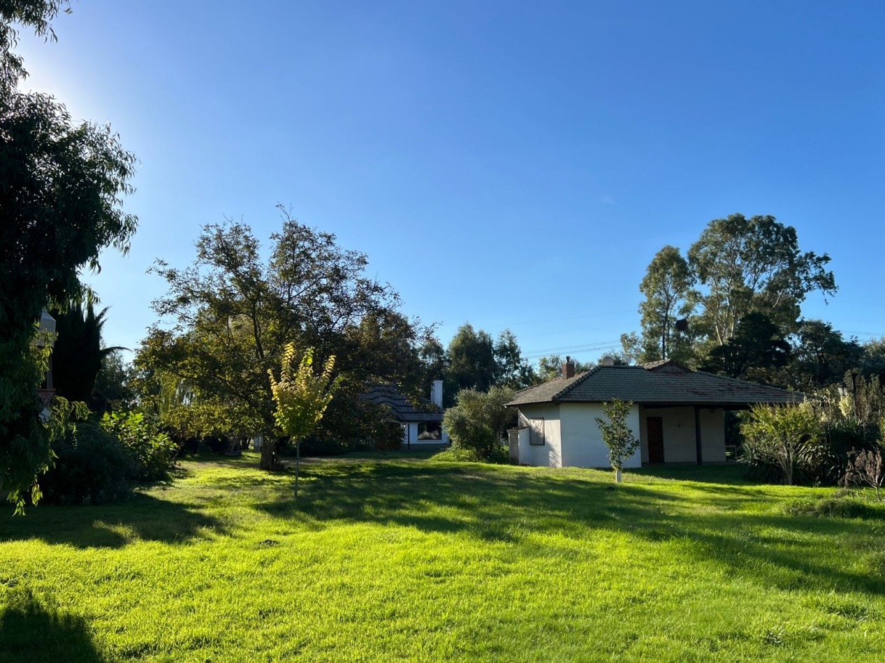 CAMPO EN VENTA 1520 HAS CON FEEDLOT OPERATIVO - CORONEL DORREGO. 