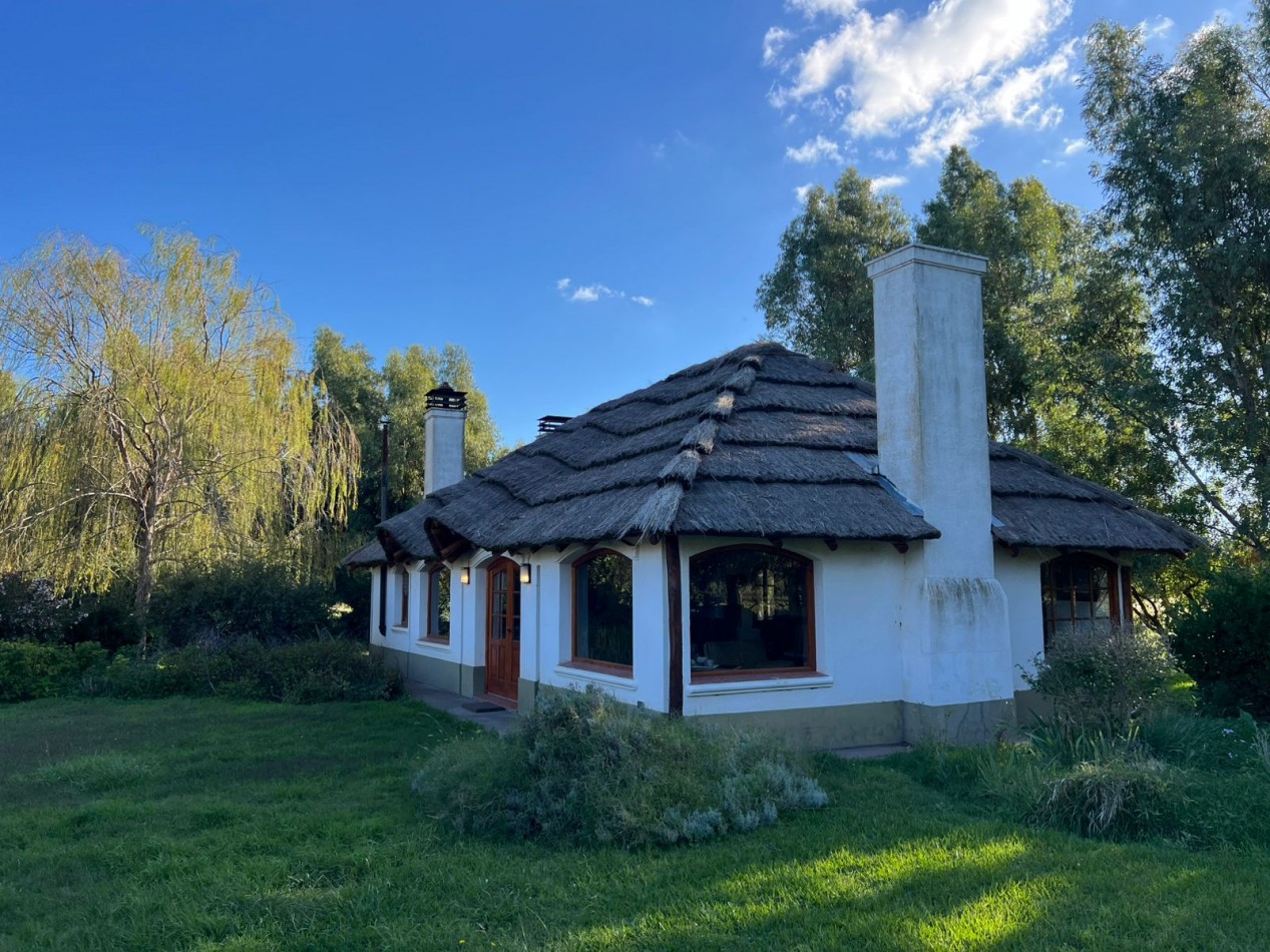 CAMPO EN VENTA 1520 HAS CON FEEDLOT OPERATIVO - CORONEL DORREGO. 