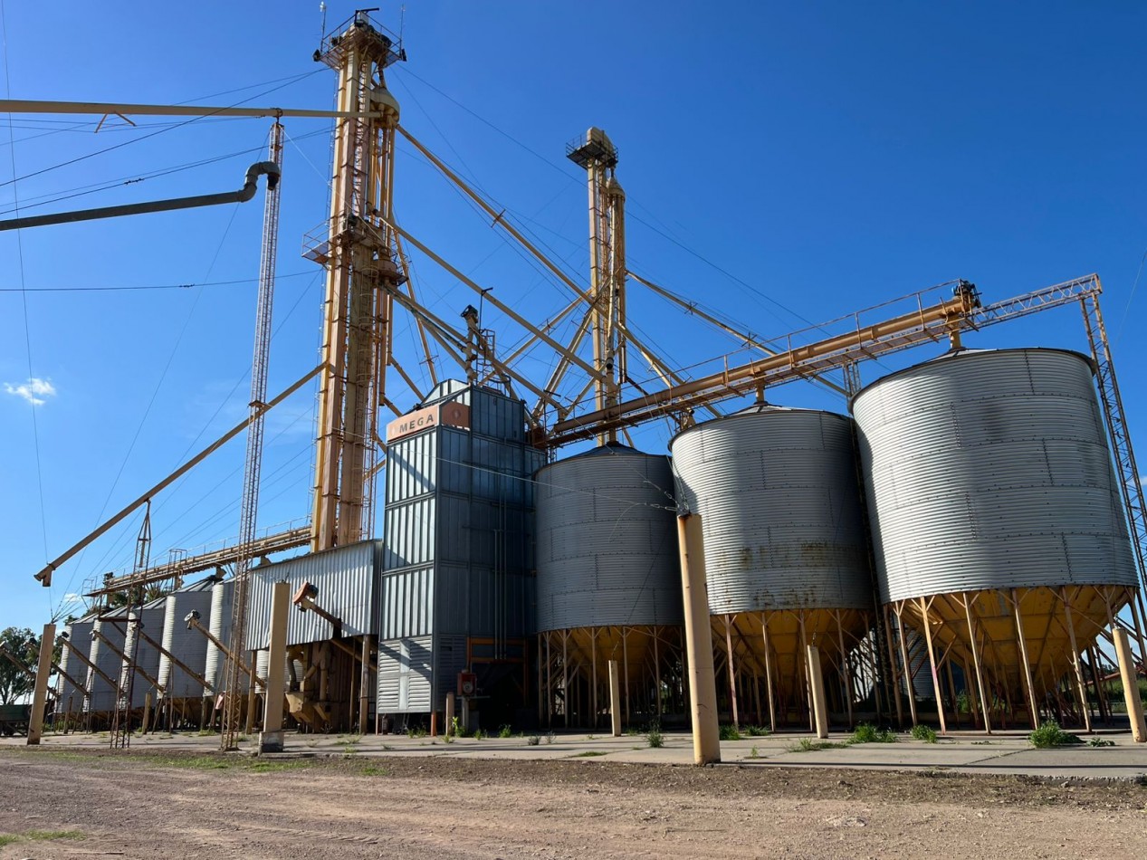 CAMPO EN VENTA 1520 HAS CON FEEDLOT OPERATIVO - CORONEL DORREGO. 