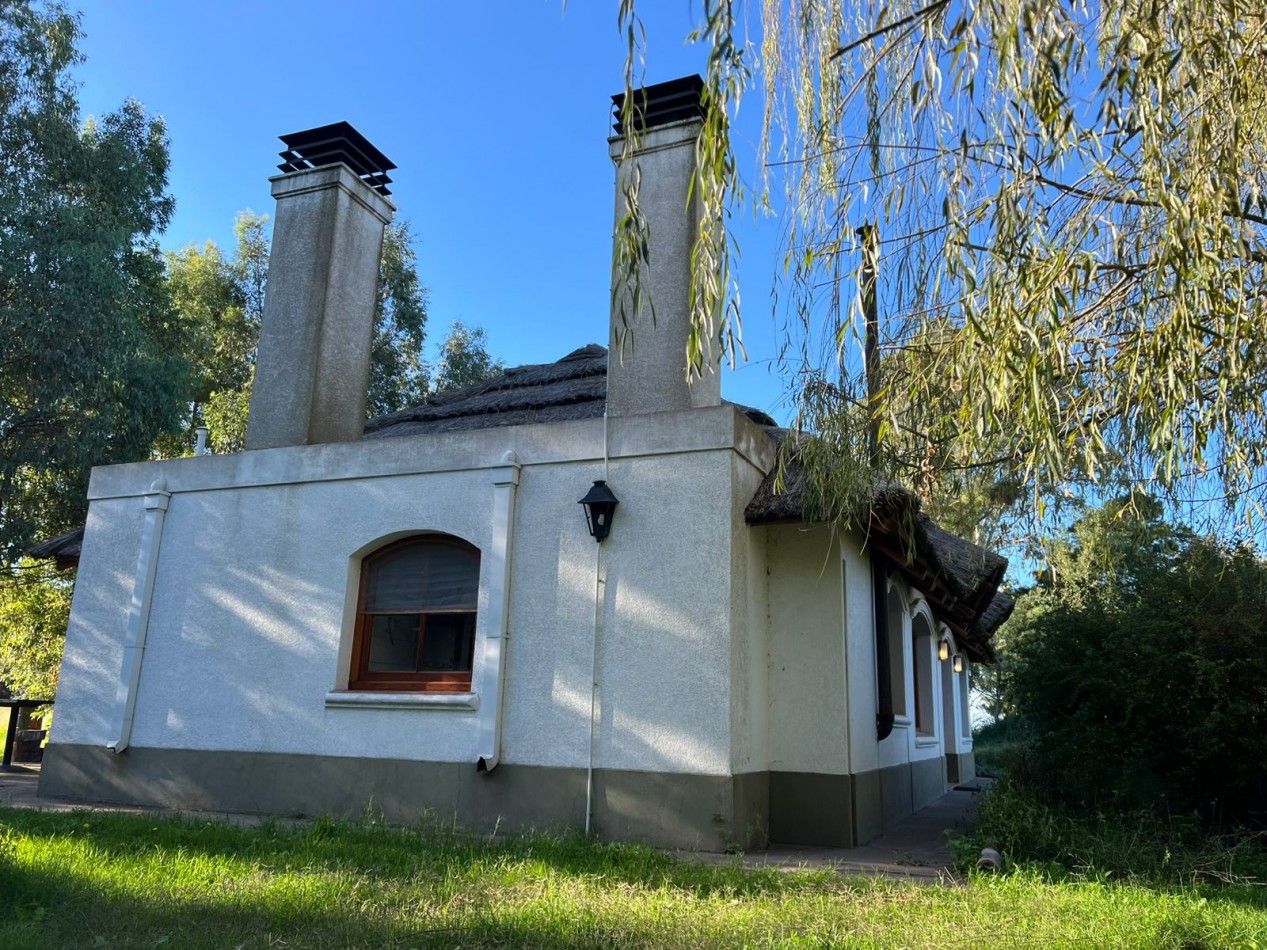 CAMPO EN VENTA 1520 HAS CON FEEDLOT OPERATIVO - CORONEL DORREGO. 