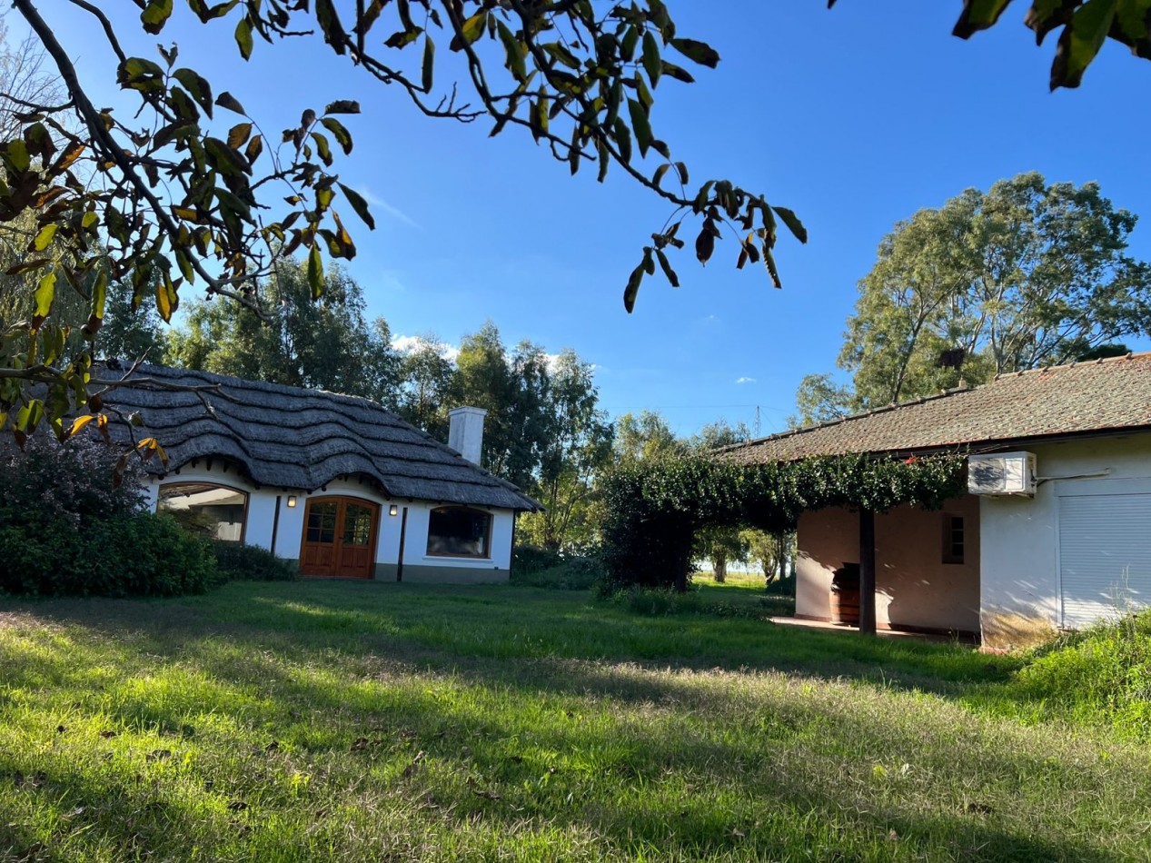 CAMPO EN VENTA 1520 HAS CON FEEDLOT OPERATIVO - CORONEL DORREGO. 