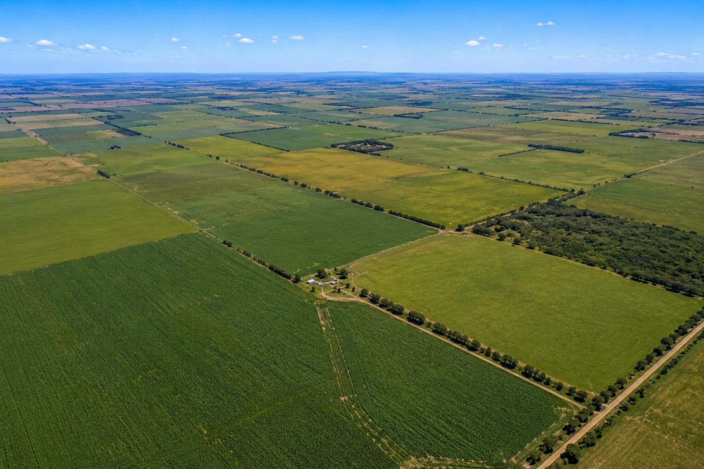 CAMPO MIXTO EN VENTA 348 HAS A 37 KM DE TRES ARROYOS 