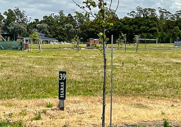 ()LOTE EN VENTA EN CASONAS DEL HARAS, ACANTILADOS, MAR DEL PLATA