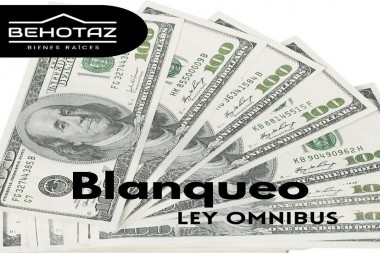 Blanqueo de Capitales. Ley OMNIBUS