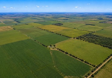 CAMPO MIXTO EN VENTA 348 HAS A 37 KM DE TRES ARROYOS 